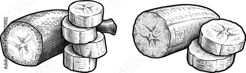 Sliced zucchini squash vegetable hand drawn engraving style vector illustration