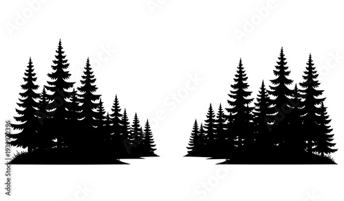 Forest clearing silhouette vector with conifer trees woodland scene isolated on white background