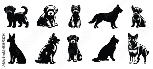 Dog gestures illustration. Black dog isolated on white background. Pet and animal symbol. 