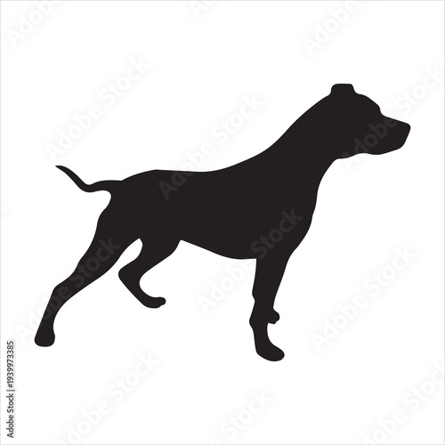 Pet pitbull pit bull terrier dog or canine flat icon for animal apps and websites