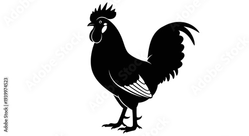 Majestic black rooster standing proudly