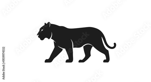 Majestic black panther walking in profile view