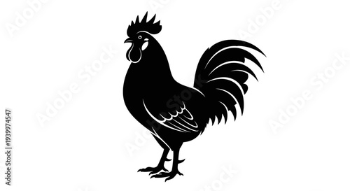 Black rooster silhouette standing proudly with feathers