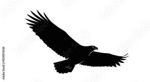 Eagle soaring through the air with wings spread wide