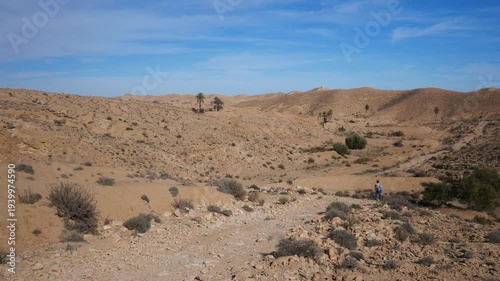 Tourist hiking through arid desert landscape near Matmata, Tunisia. Lone traveler walking across rocky valley with sparse vegetation and palm trees under wide blue sky