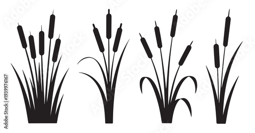  cattail plant silhouette set on plain style