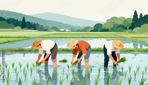 Farmers work in flooded rice paddies. They bend low, tending young shoots. Mountains loom in the distance, calm and green. Sunlight glows softly over the water. Rice grows strong under their care