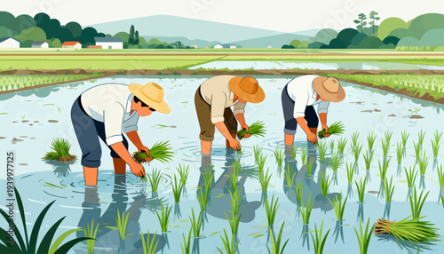 Three farmers bend over shallow rice paddies. They carefully place young green shoots into muddy water. The scene is peaceful, with distant hills and a clear sky