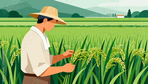 Farmer inspects ripe rice stalks in golden field. Wearing straw hat and light shirt, he bends gently. Hands examine grains close to earthy green rows