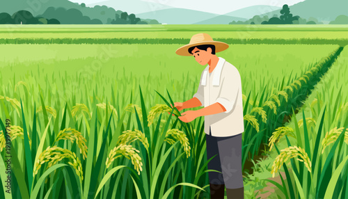 Farmer inspects golden rice plants in lush field. Wearing straw hat, he tends crops with care. Green hills stretch behind rows of ripening stalks