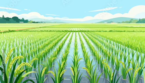 Green rice fields stretch under a soft blue sky. Rows of young plants grow in shallow water. Mountains fade gently on the horizon's edge. Sunlight glows softly across the tranquil landscape