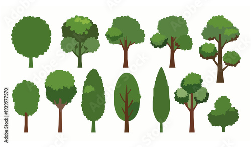 Cartoon tree vector set with dense green foliage collection of forest and garden plant elements isolated on white background