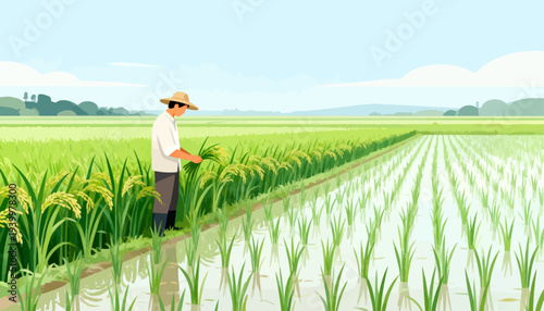 Farmer stands in golden rice field. Wearing straw hat and simple shirt. Hands gently touch mature grain heads. Clear sky with soft clouds overhead. Rows stretch wide and straight into distance
