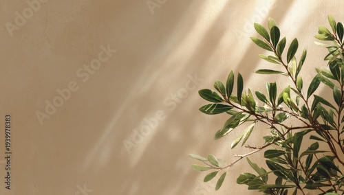 Foliage with sunlight shadows against a warm beige textured wall
