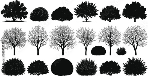 Black Tree and Bush Silhouette Collection Including Bare Winter Branches and Lush Summer Foliage Isolated on White Background for Landscape Design Architecture and Nature Vectors