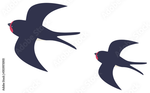 こどもの日イラスト_ツバメ