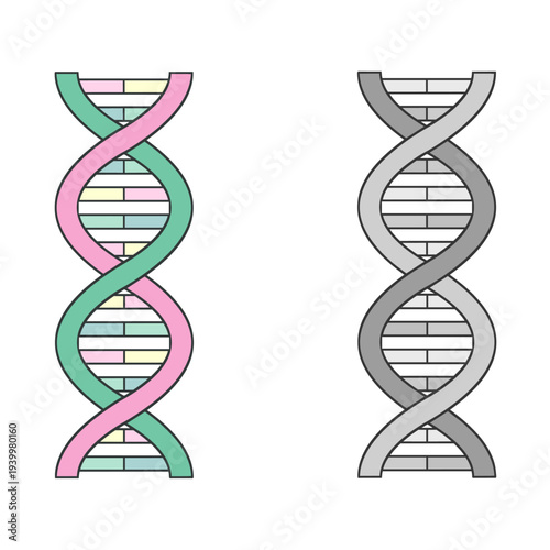 遺伝情報の二重螺旋構造 ベクター素材 サイエンス背景