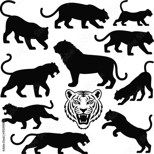 Big cats silhouette illustration, tiger head artwork, lion panther leopard vector, wild animal design, predator graphic icon, jungle wildlife theme