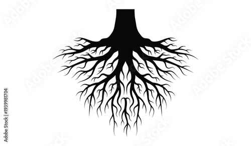 Black silhouette of tree roots on, root system illustration, branching roots