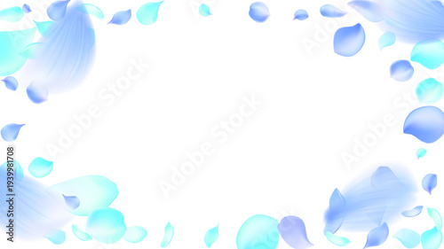 Elegant flying light blue and azure flower petals and feathers falling on white background fresh aesthetic horizontal banner for perfume and fabric softener advertisement