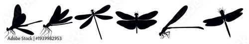  set dragonflies silhouettes