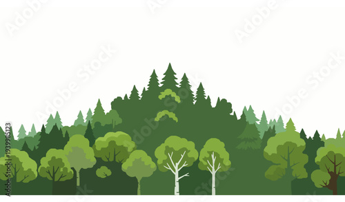 Cartoon spring woodland vector with green oak, birch, and fir trees isolated on white background for banners and posters