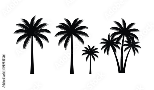 Set of black silhouette palm trees