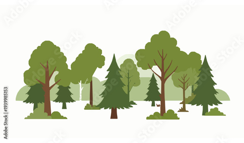 Spring forest vector with green oak, birch, and fir trees flat cartoon nature landscape isolated on white background