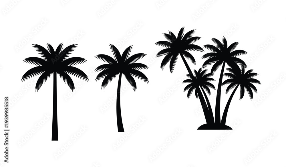 Fototapeta premium Silhouette of palm trees on a, tropical scene with multiple trees isolated