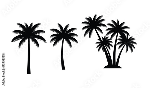 Silhouette of palm trees on a, tropical scene with multiple trees isolated