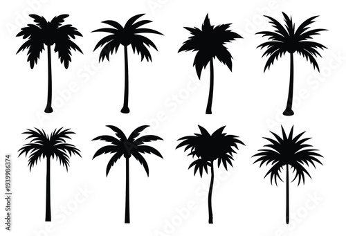  areca palm silhouette set flat illustration on white background