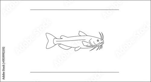 Sleek line art illustration of a freshwater bottom-dweller, a whiskered catfish design
