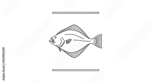 Simple Line Art Illustration of a Flatfish, Perfect for Seafood Menus or Ocean-Themed Designs