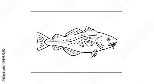 Stylized line art illustration of a marine fish with distinct markings and a barbel perfect for