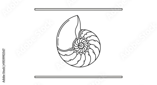 Elegant single line art depiction of a nautilus shell showcasing natural logarithmic spiral geometry