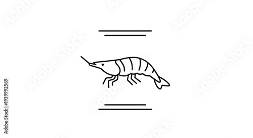 Elegant line art shrimp icon showcasing aquatic life in a clean minimalist design for seafood