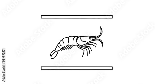 Stylized aquatic crustacean illustration representing fresh seafood design elements