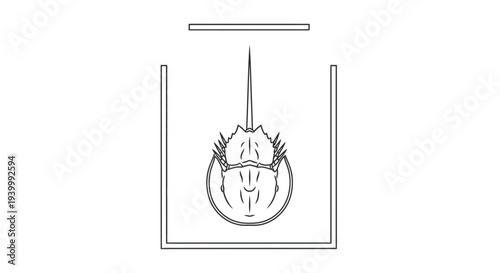 Precise continuous line art depiction of a horseshoe crab observed in a clear research vessel