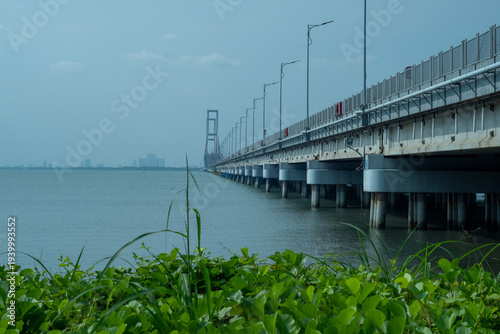 bridge over sea in the city