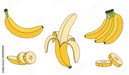 A colorful vector illustration of various banana arrangements and slices