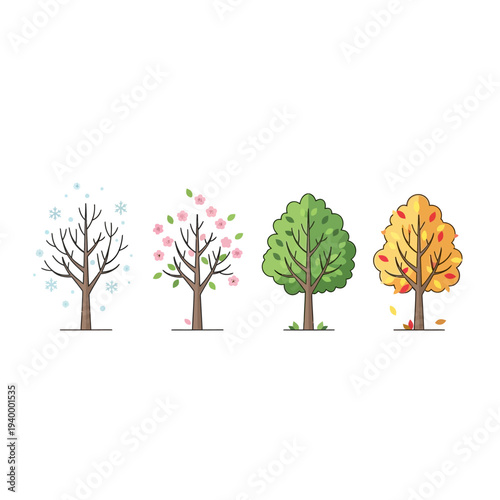 Four Seasons Tree Cycle: Winter, Spring, Summer, Autumn. Vector Illustration