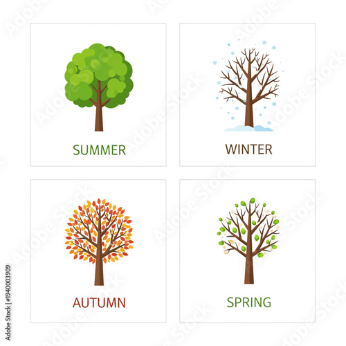 Four Seasons Tree Illustration: Spring, Summer, Autumn, Winter