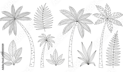 A set of palm tree illustrations and leaves in a minimalist line art style