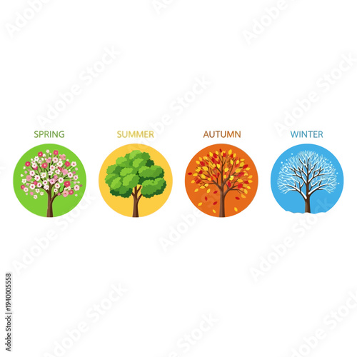 Four Seasons Trees: Spring, Summer, Autumn, Winter - Cycle of Nature
