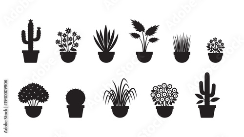 Potted plants silhouetted collection with diverse flora including cacti and flowering plants for decoration