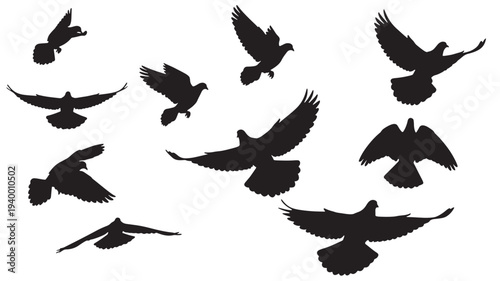 Pigeons flying silhouettes with spread wings in various dynamic poses isolated on a white background, symbolizing freedom and movement.