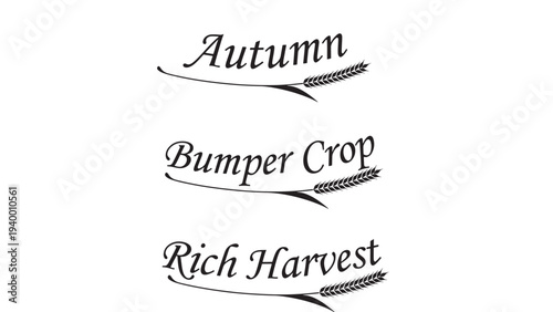 Wheat stalks with text "Autumn", "Bumper Crop", and "Rich Harvest" in elegant black script typography on white background.