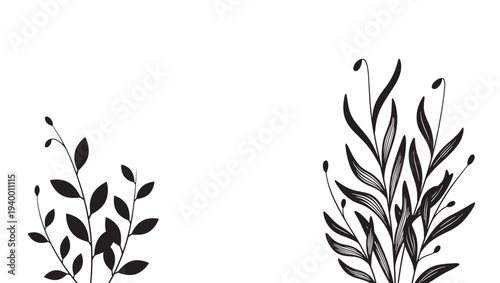 Branches with leaves and buds in black silhouette style on a white background, creating an organic artistic composition.