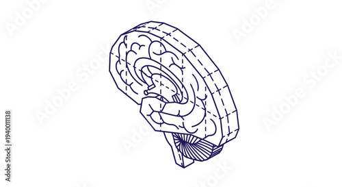 Detailed line drawing of a human brain, showing cerebral cortex, cerebellum, and brainstem, isolated on white background