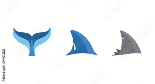 Blue whale tail and two shark fins